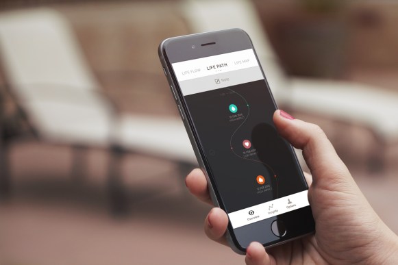 realifex-life-path-photo